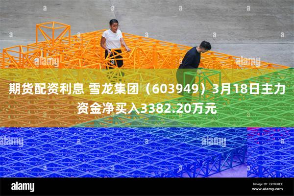 期货配资利息 雪龙集团（603949）3月18日主力资金净买入3382.20万元