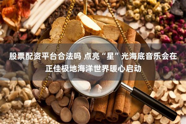 股票配资平台合法吗 点亮“星”光海底音乐会在正佳极地海洋世界暖心启动