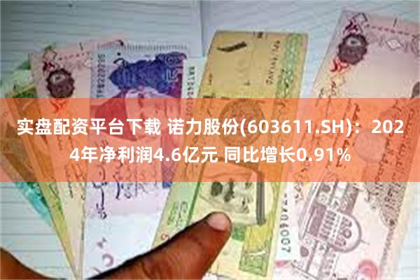 实盘配资平台下载 诺力股份(603611.SH)：2024年净利润4.6亿元 同比增长0.91%