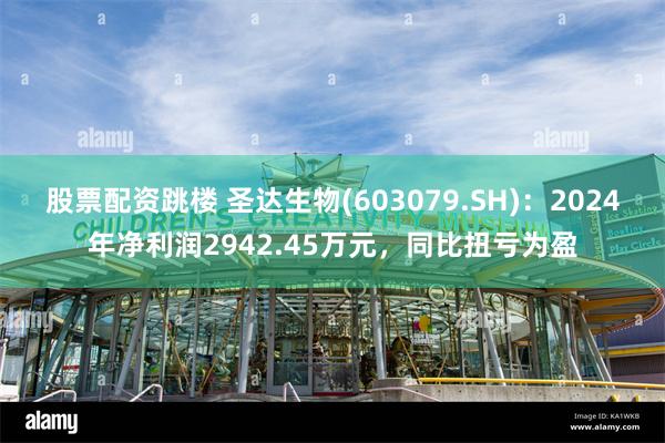 股票配资跳楼 圣达生物(603079.SH)：2024年净利润2942.45万元，同比扭亏为盈