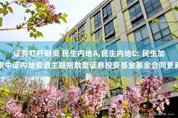 证券杠杆融资 民生内地A,民生内地C: 民生加银中证内地资源主题指数型证券投资基金基金合同更新
