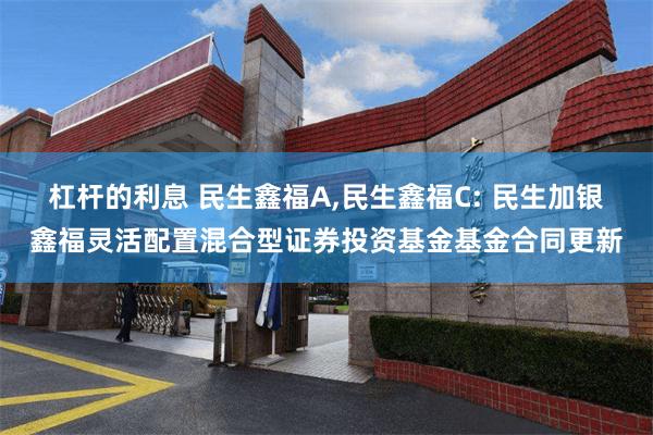 杠杆的利息 民生鑫福A,民生鑫福C: 民生加银鑫福灵活配置混合型证券投资基金基金合同更新