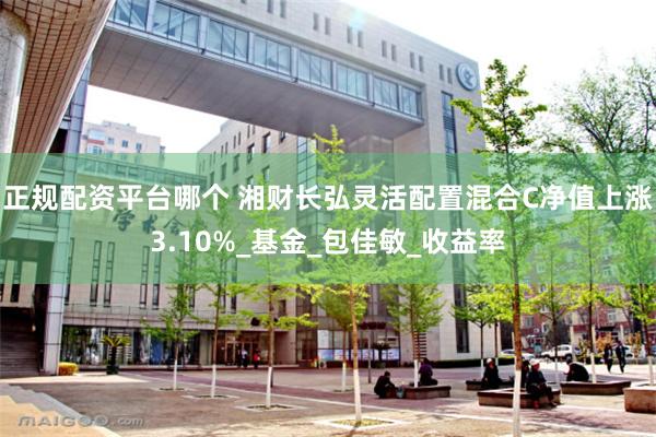 正规配资平台哪个 湘财长弘灵活配置混合C净值上涨3.10%_基金_包佳敏_收益率
