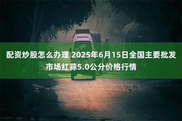 配资炒股怎么办理 2025年6月15日全国主要批发市场红蒜5.0公分价格行情