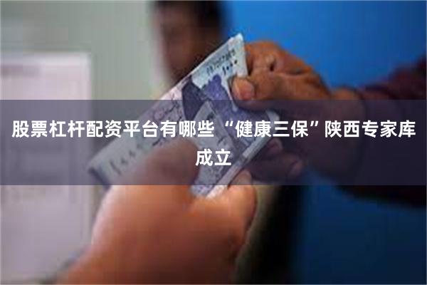 股票杠杆配资平台有哪些 “健康三保”陕西专家库成立