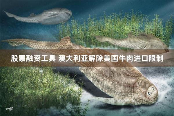 股票融资工具 澳大利亚解除美国牛肉进口限制