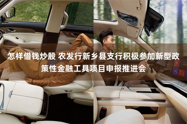 怎样借钱炒股 农发行新乡县支行积极参加新型政策性金融工具项目申报推进会