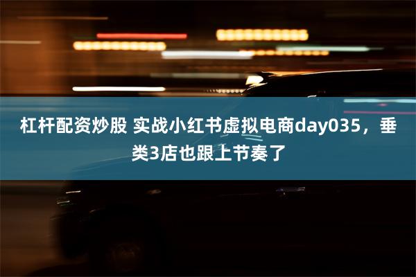 杠杆配资炒股 实战小红书虚拟电商day035，垂类3店也跟上节奏了