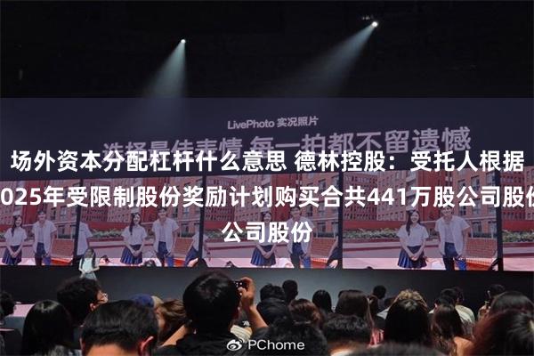 场外资本分配杠杆什么意思 德林控股：受托人根据2025年受限制股份奖励计划购买合共441万股公司股份