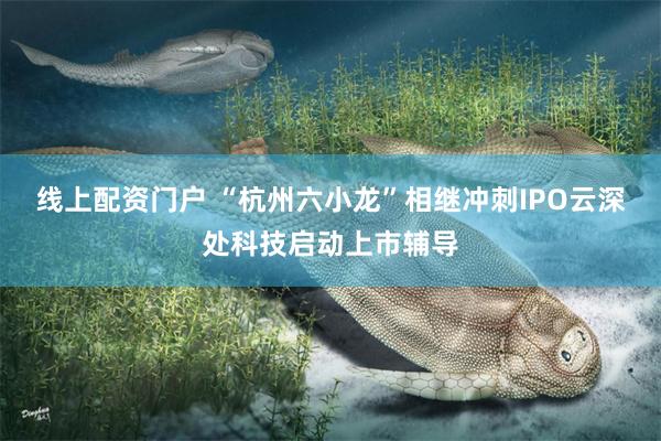 线上配资门户 “杭州六小龙”相继冲刺IPO云深处科技启动上市辅导