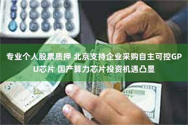 专业个人股票质押 北京支持企业采购自主可控GPU芯片 国产算力芯片投资机遇凸显